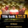 About Tik Tok Hub Song